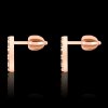 USHI® náušnice CIRCLE MAX - rose gold Ag 925/1000 (2,53g)