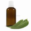 Eukalyptová silica 50 ml