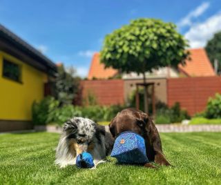 🌟 Dvojitá radost pro vaše chlupáče! 🐾 Na fotce vidíte naše plnící míčky na pamlsky a cestovní misky – oboje šité z...