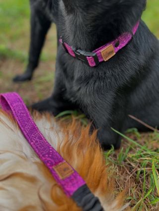 ✨ Každý pejsek si zaslouží obojek, který je nejen pohodlný, ale i stylový! 🐾💜 Naše ručně šité kousky jsou originální,...