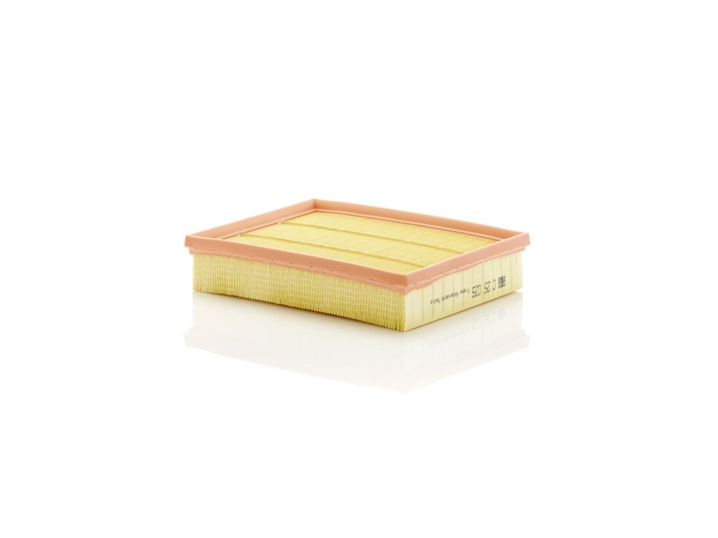 Ford Air Filter DS7Z-9601-E