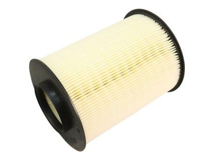 Ford Filtro de aire AV61-9601-AD