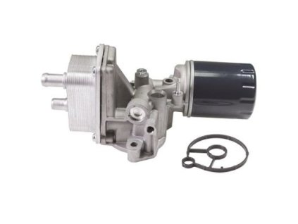 Ford Radiator Filtru Ulei DS7Q-6L625-CC