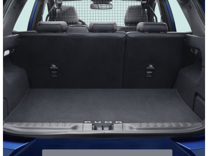 200302 Puma 0440 041