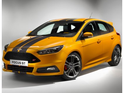 FocusST 02 Matt 041