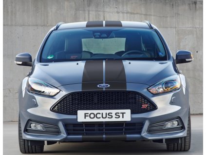 FordFocusST 13 Matt 041
