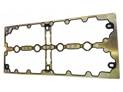 Fiat Ducato Guarnizione coperchio punterie 2995609