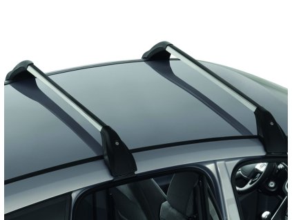 CMX Roof Base Carrier 041