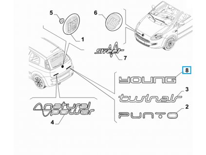 Fiat Punto Iscrizione Young sul retro