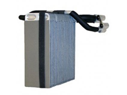 Evaporator WJ/WG 99-01