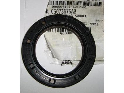 Oil seal ZH