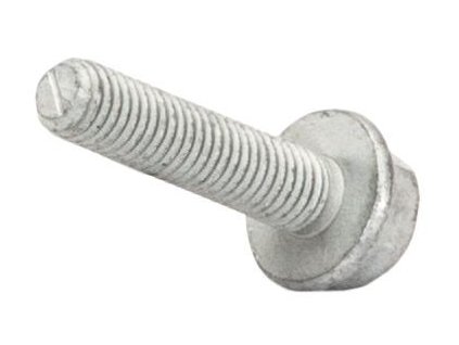 Screw