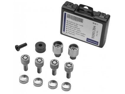 Fiat Ducato Tornillos antirrobo 15´´