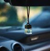 Parfum de luxe pour voiture Lioness 2