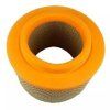 Filtro de aire Ford 6M34-9601-AA