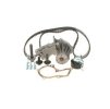 Ford Zahnriemensatz mit Wasserpumpe 5M5Q-8B596-AB