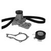 Ford Timing Belt Kit with Pump BM5J-8B596-AA