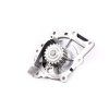 Ford Kit de distribution avec pompe à eau DS7Q-8A615-AA