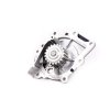 Ford Zahnriemensatz mit Wasserpumpe DS7Q-8A615-AA