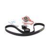 Ford Kit de distribución con bomba de agua 3M5Q-8B596-AB
