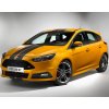 FocusST 02 Matt 041