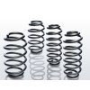 1 11 Eibach PRO KIT Performance Springs 041