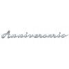 Fiat 500 Back inscription Anniversario