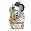 Fiat Ducato Polea de correa de alternador 2994029
