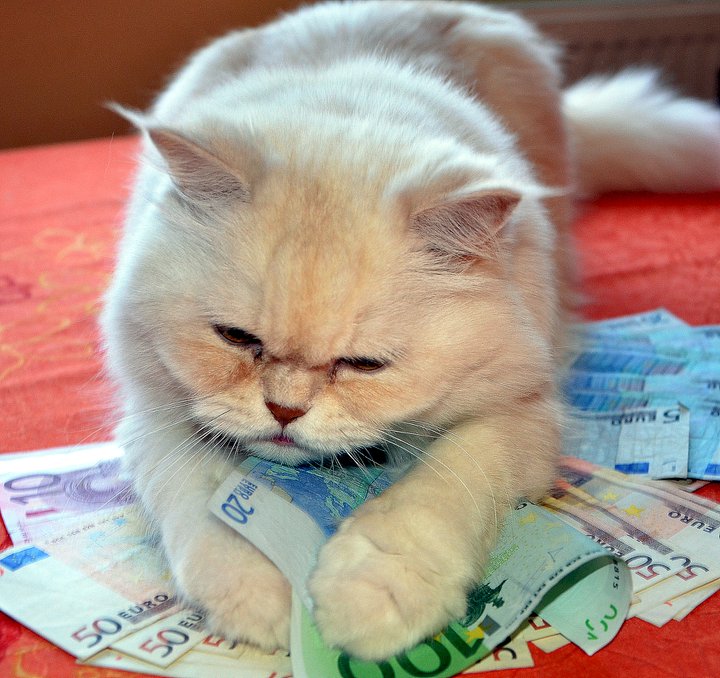 Ako sa stať bohatým človekom?