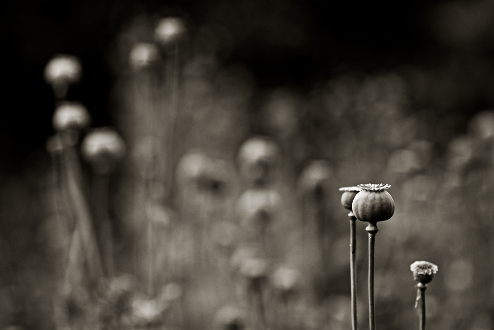 Tajomstvá úspešného maloobchodného predaja