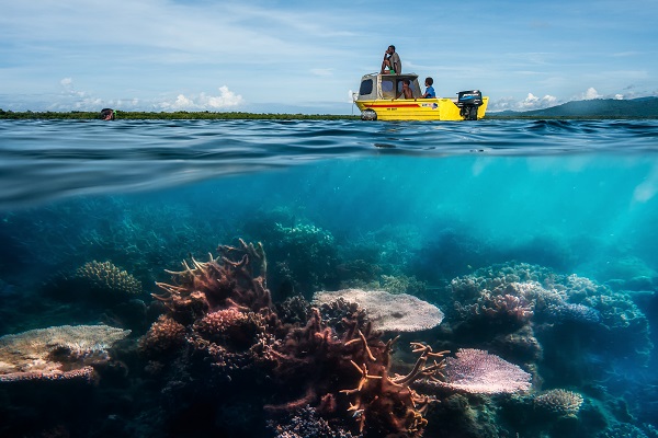 Firemná štruktúra? Nebláznite, na to nemám čas!