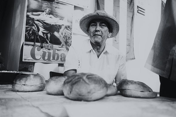 Vzdelávanie zamestnancov a pracovné prostredie