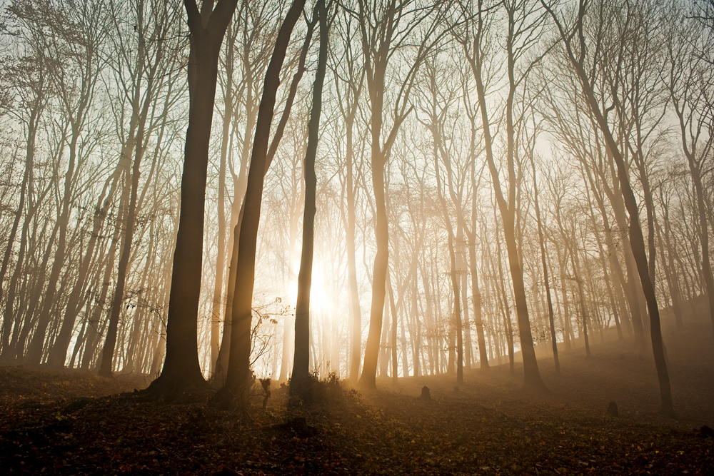 Ako zvýšiť efektivitu uzatvárania obchodu