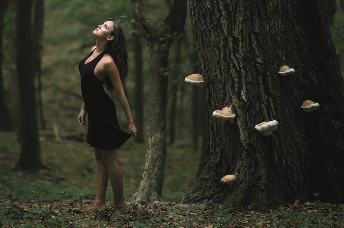 Ako sa do hory volá, tak sa kolega ozýva