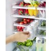 Organizér do lednice Rotho LOFT FRIDGE, 1,6l - 31x7,5x9cm 01