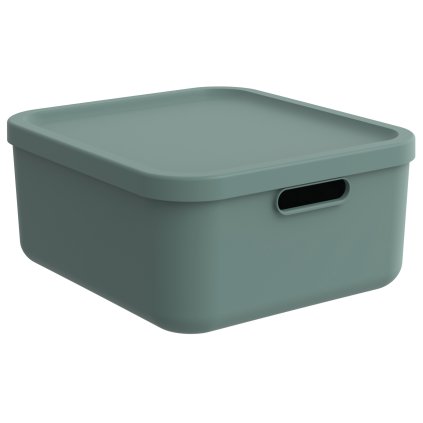 Úložný box, rovný s vekom, 20 l, matná zelená ALBU LIGHT