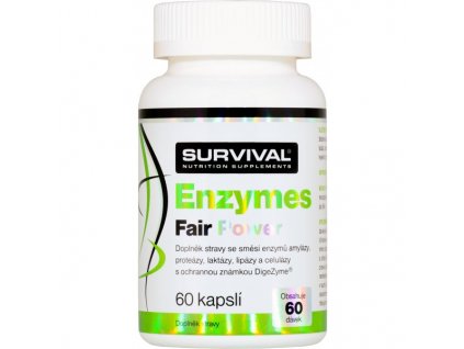Enzymes Fair Power - trávicí enzymy | Survival