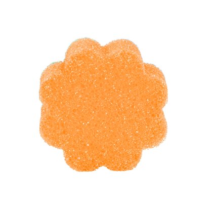 SUPER SCRUBBY HOUBIČKA 1 KS, 10XX10X4CM 5ASS