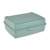 SVAČINOVÝ BOX 30X20X8,5 SEVERSKÁ ZELENÁ