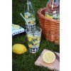 SKLENICE 300 ML CITRON