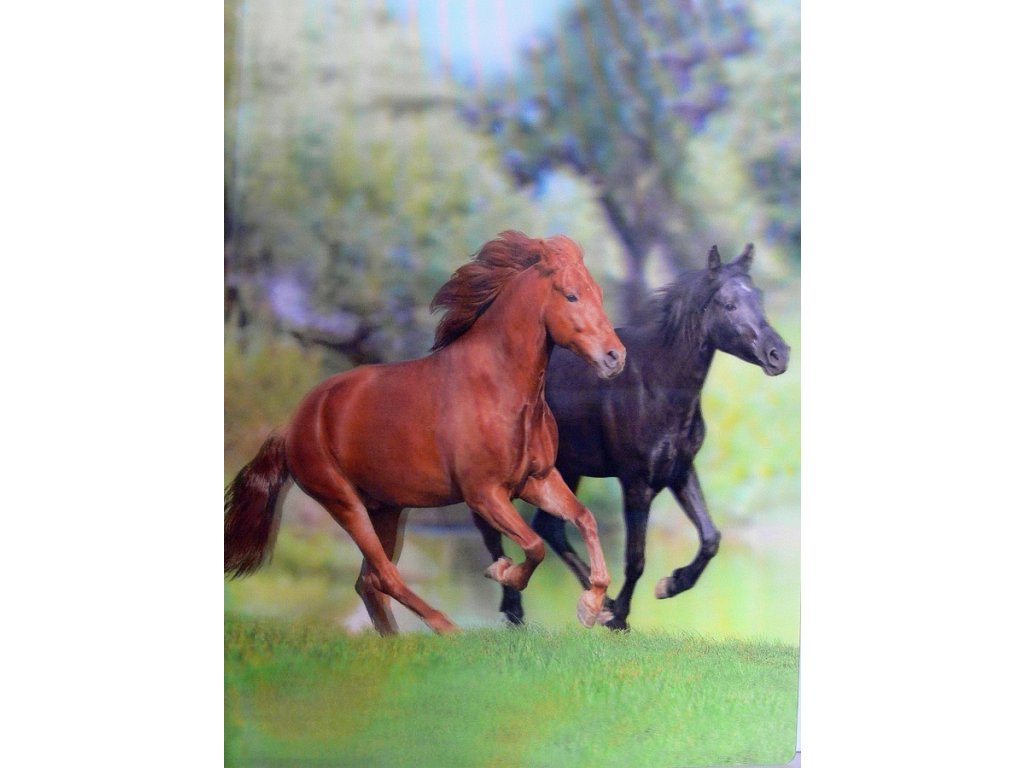 Katalogová kniha,20listů,motiv koně,3D efekt