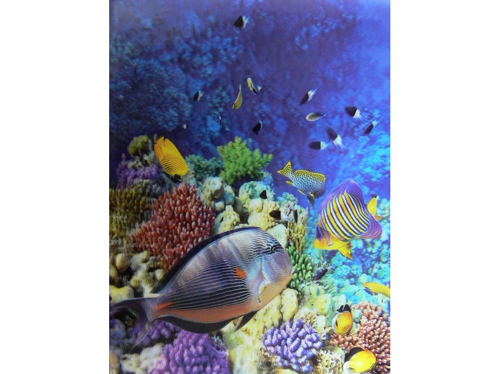 Katalogová kniha,20listů,motiv akvarium,3D efekt