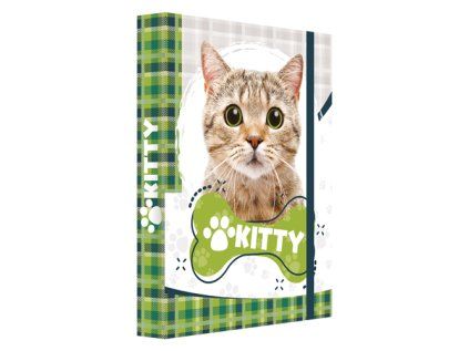 box na sesity a4 jumbo kitty