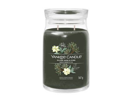 svicka yankee candle silver sage pine velka