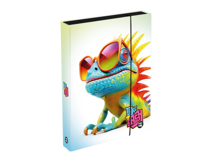 box na sesity a4 jumbo chameleon