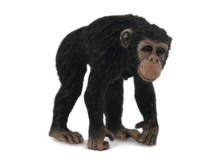 M1188493