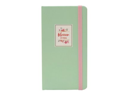 Zápisník s elastickým uzávěrem,sv.zelený, 60 listů, papír 80g, 75x135mm