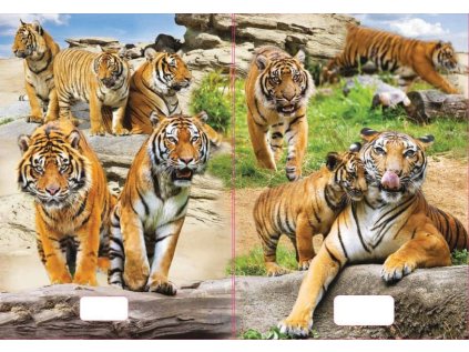 sešit 540 s 3D motivem, A5, 40 listů,bez linek, motiv tygři