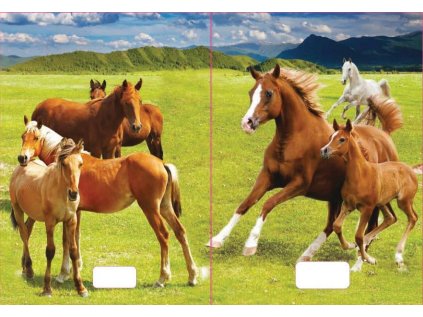 sešit 544 s 3D motivem, A5, 40 listů,linkovaný, motiv koně