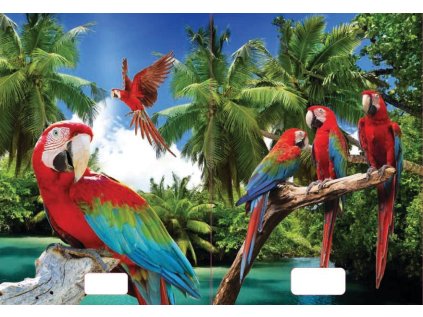 sešit 544 s 3D motivem, A5, 40 listů,linkovaný, motiv papoušci